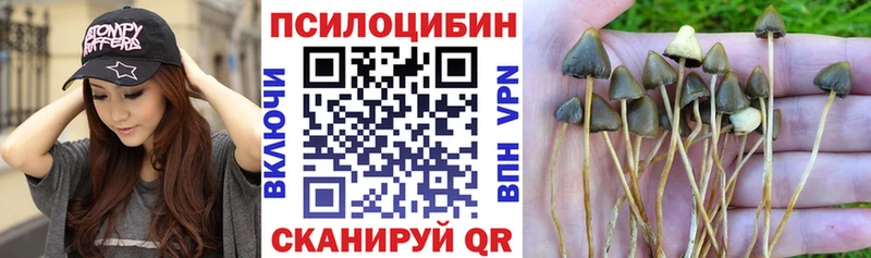 Псилоцибиновые грибы MAGIC MUSHROOMS  Купить закладки  Межгорье 